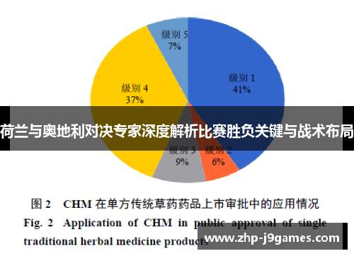 荷兰与奥地利对决专家深度解析比赛胜负关键与战术布局