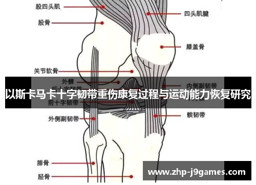 以斯卡马卡十字韧带重伤康复过程与运动能力恢复研究